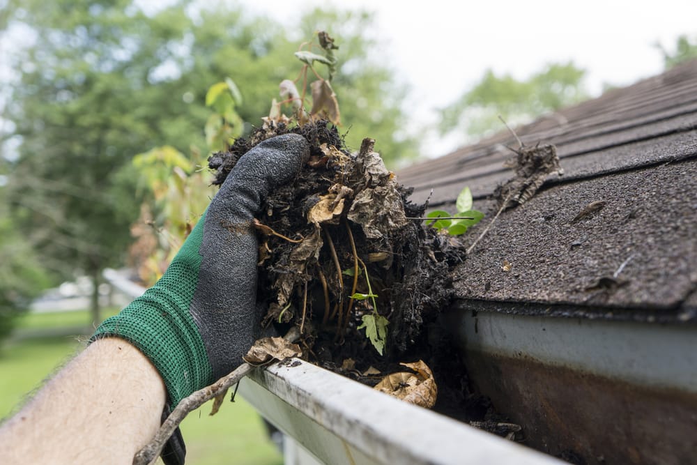 Cleaning of gutters