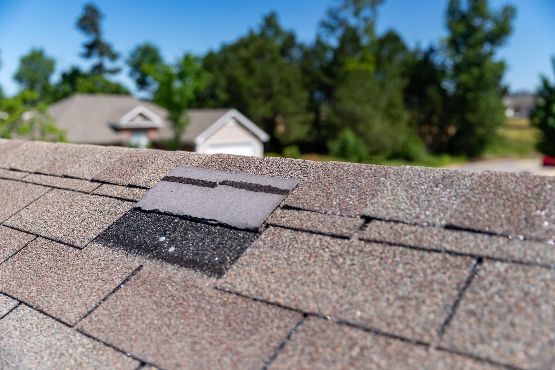 Close-up of a roof with a single shingle missing due to a winter storm, exposing the black underlayment beneath.