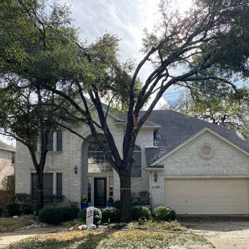 An exterior remodeling job on a home with a large tree in front of it in leander tx